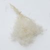 Hoa ngàn sao Broom Bloom - trắng