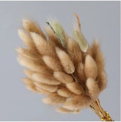 Đuôi thỏ- màu tự nhiên