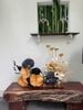 Khay hoa khô decor nội thất | M151275M — Thu nhỏ 3