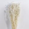 Linum-màu trắng