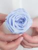 Hoa hồng preserved-M- xanh baby blue