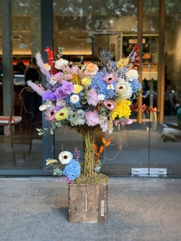 Cây hoa chúc mừng tone pastel