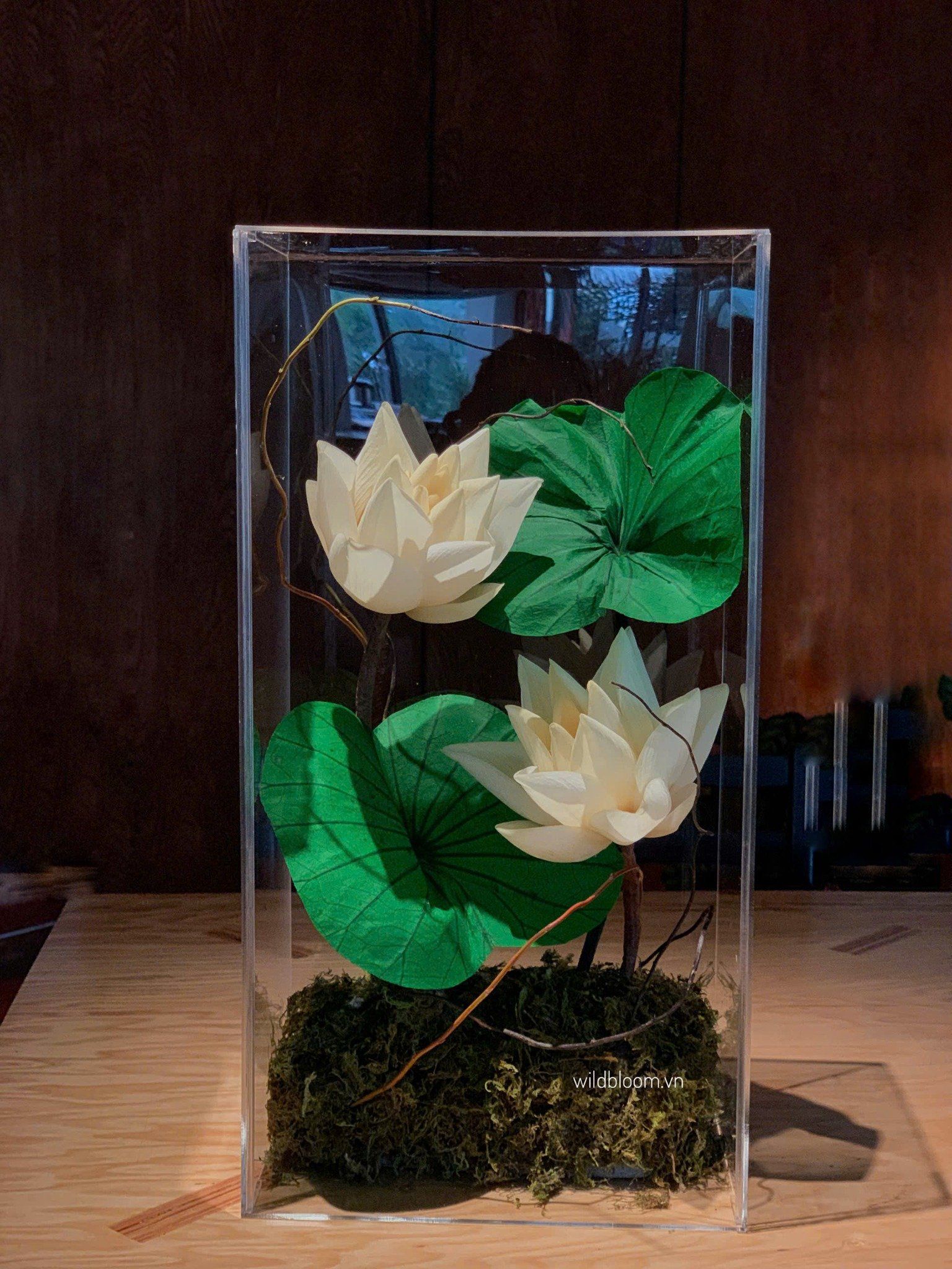 Hộp hoa sen preserved trắng M180022M