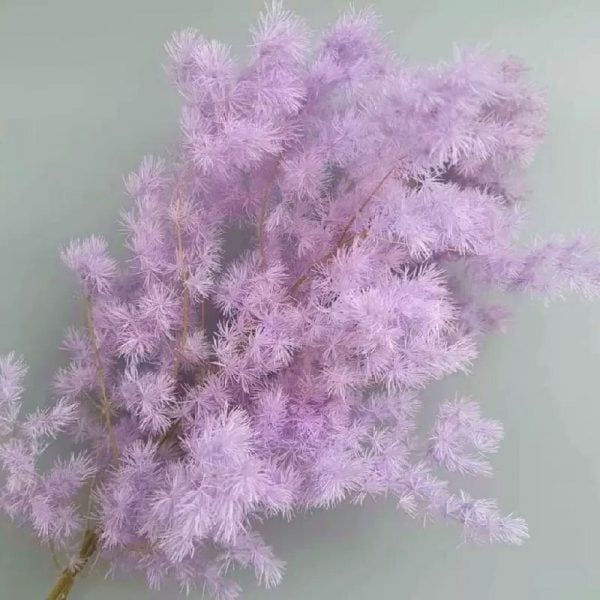Lá tùng nho preserved - tím/ xanh biển