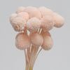 Billy mini-hồng
