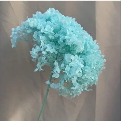 Tú cầu cành preserved- Xanh biển (Light Blue)