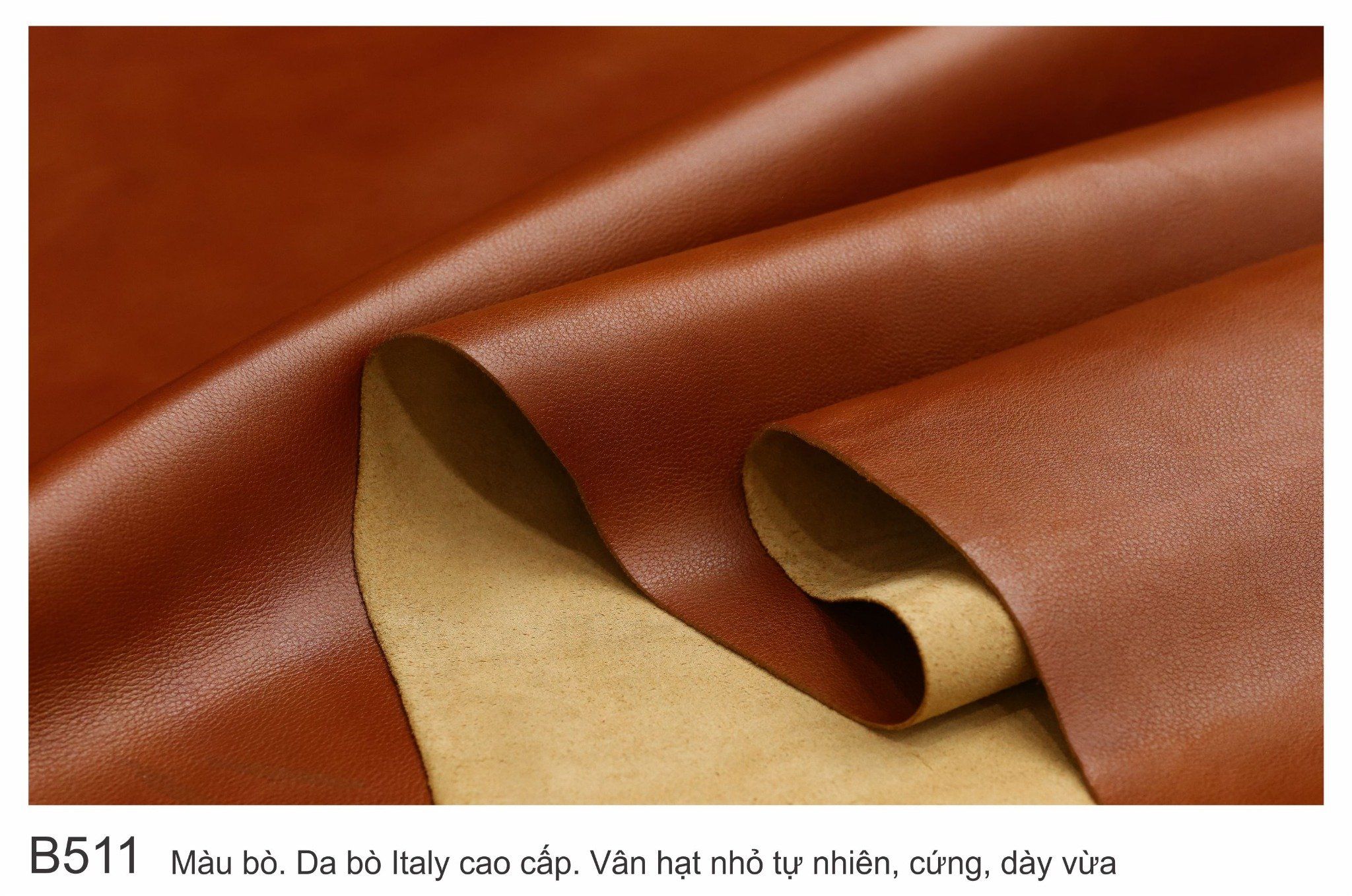  Màu Da Bò-B511 