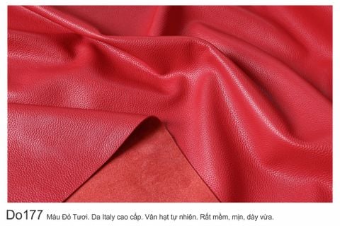  Màu Đỏ-DO177 