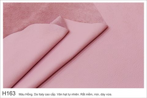  Màu Hồng-H163 