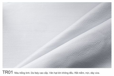  Màu Da Trắng-TR01 