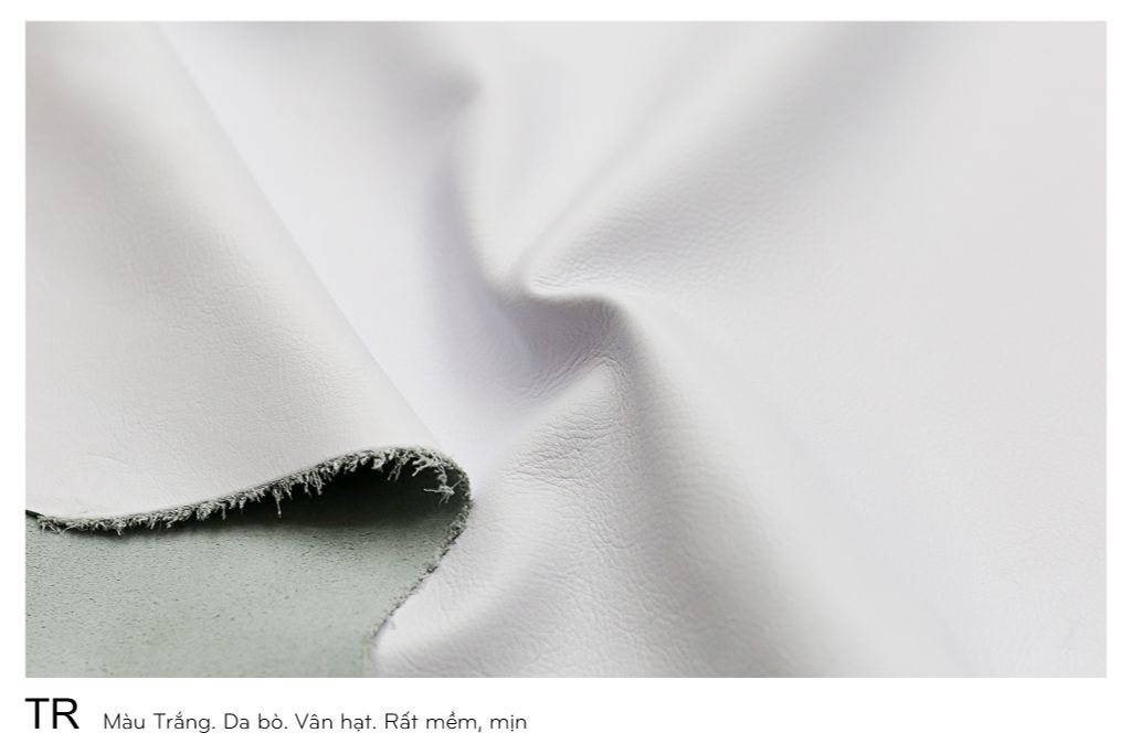  Màu Da Trắng-TR 