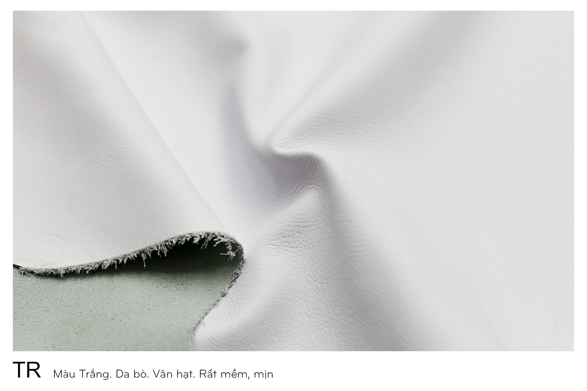  Màu Da Trắng-TR 