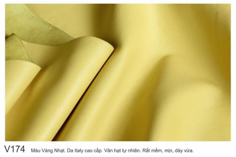 Màu Vàng-V174 
