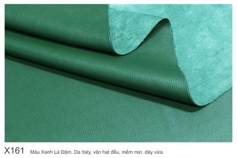  Màu Xanh Lá-X161 