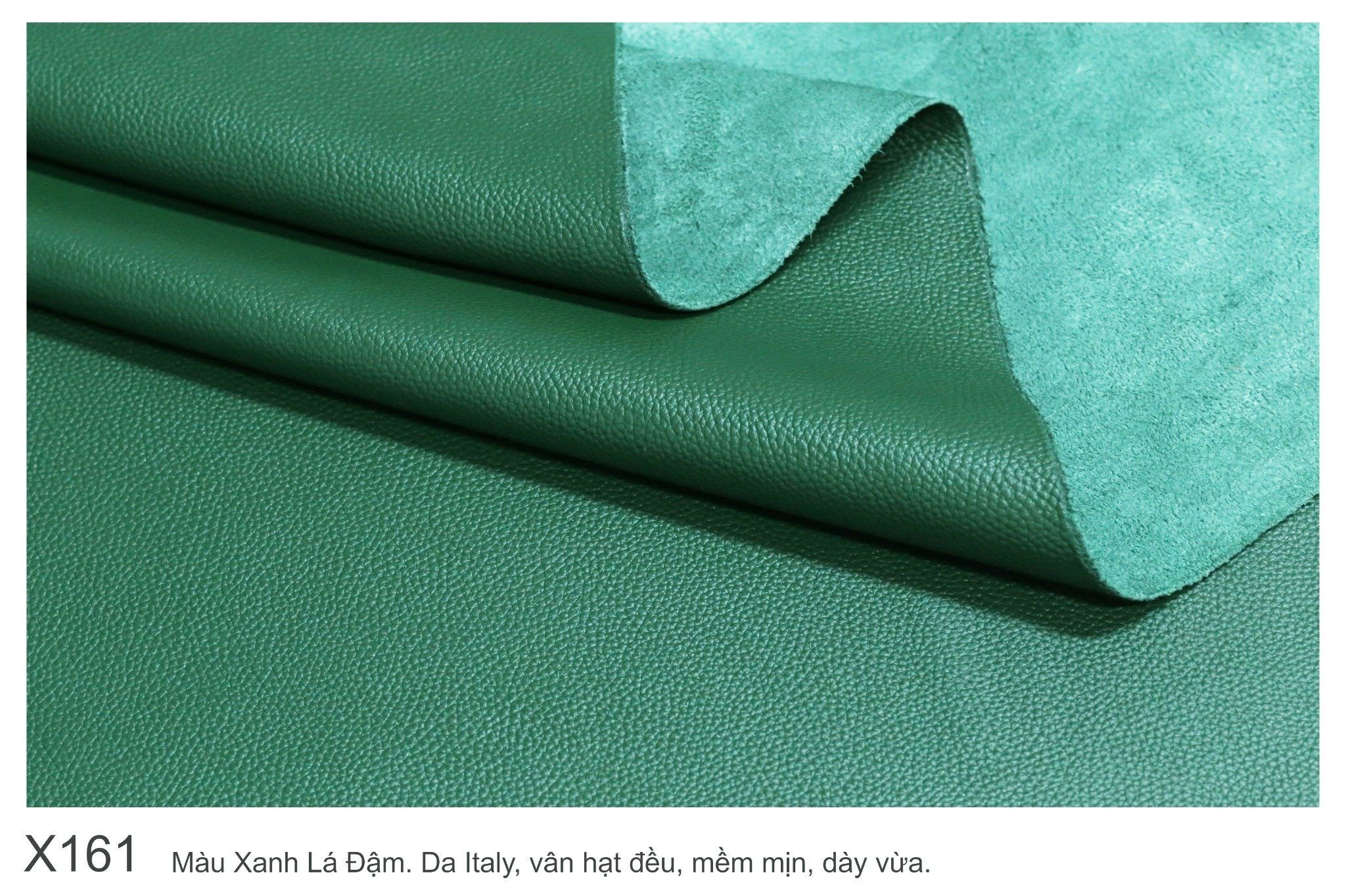  Màu Xanh Lá-X161 