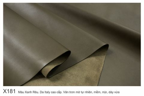  Màu Xanh Rêu-X181 