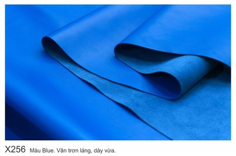  Màu Da Blue-X256 