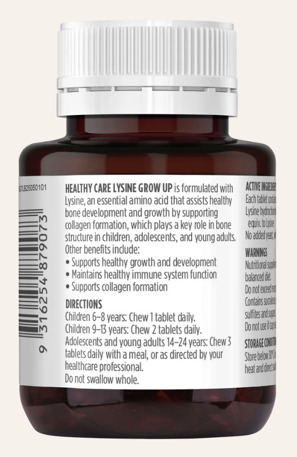 Healthy Care Plus Lysine Chewable Tablet 60 Capsules