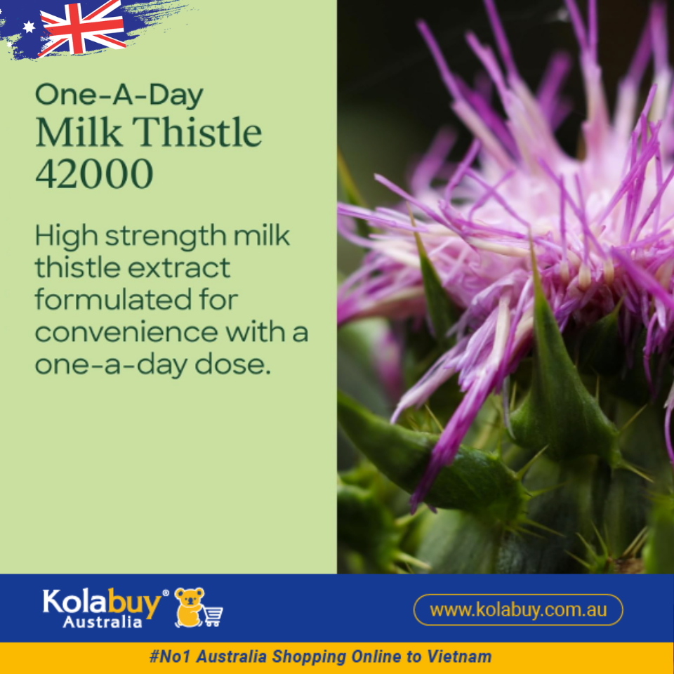 Viên uống bổ gan Thompson's One-a-day Milk Thistle 42000mg 60 viên