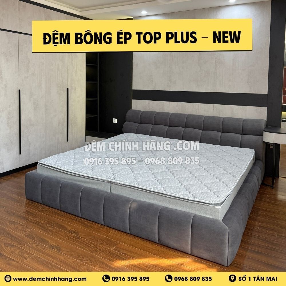 Đệm Bông Ép Top Plus - New