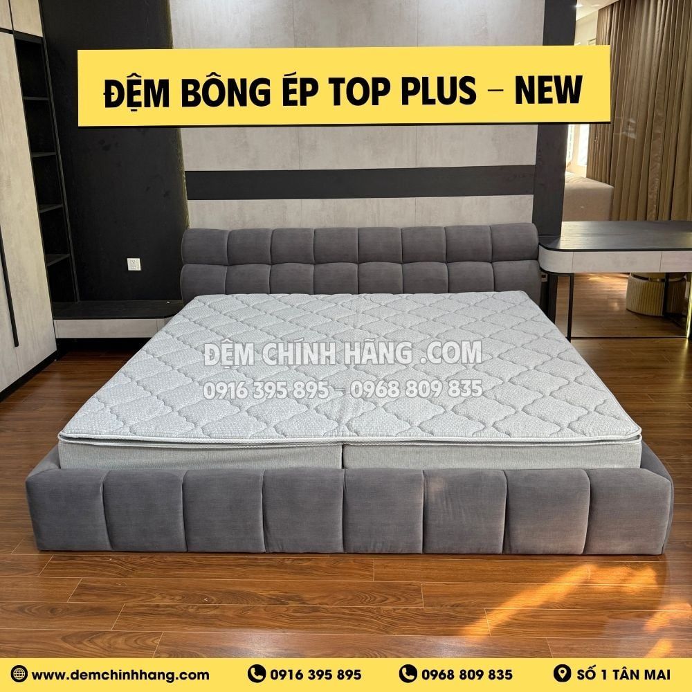 Đệm Bông Ép Top Plus - New
