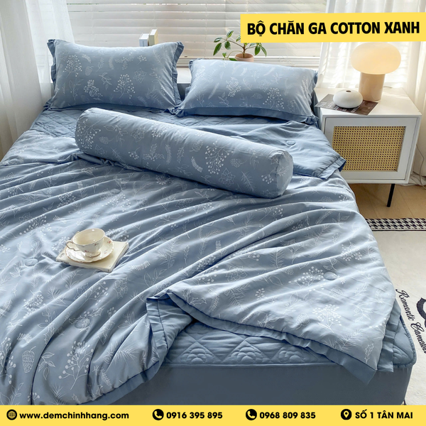 Bộ Chăn Ga Cotton Xanh