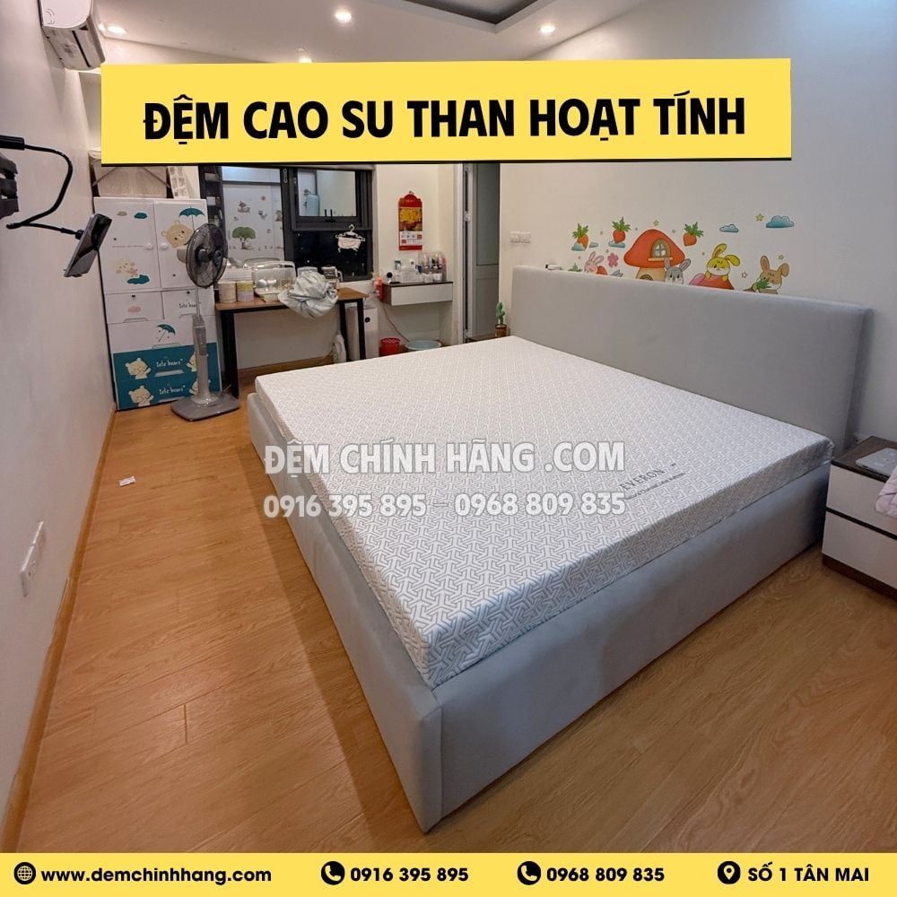 Đệm/Nệm cao su Everon than hoạt tính