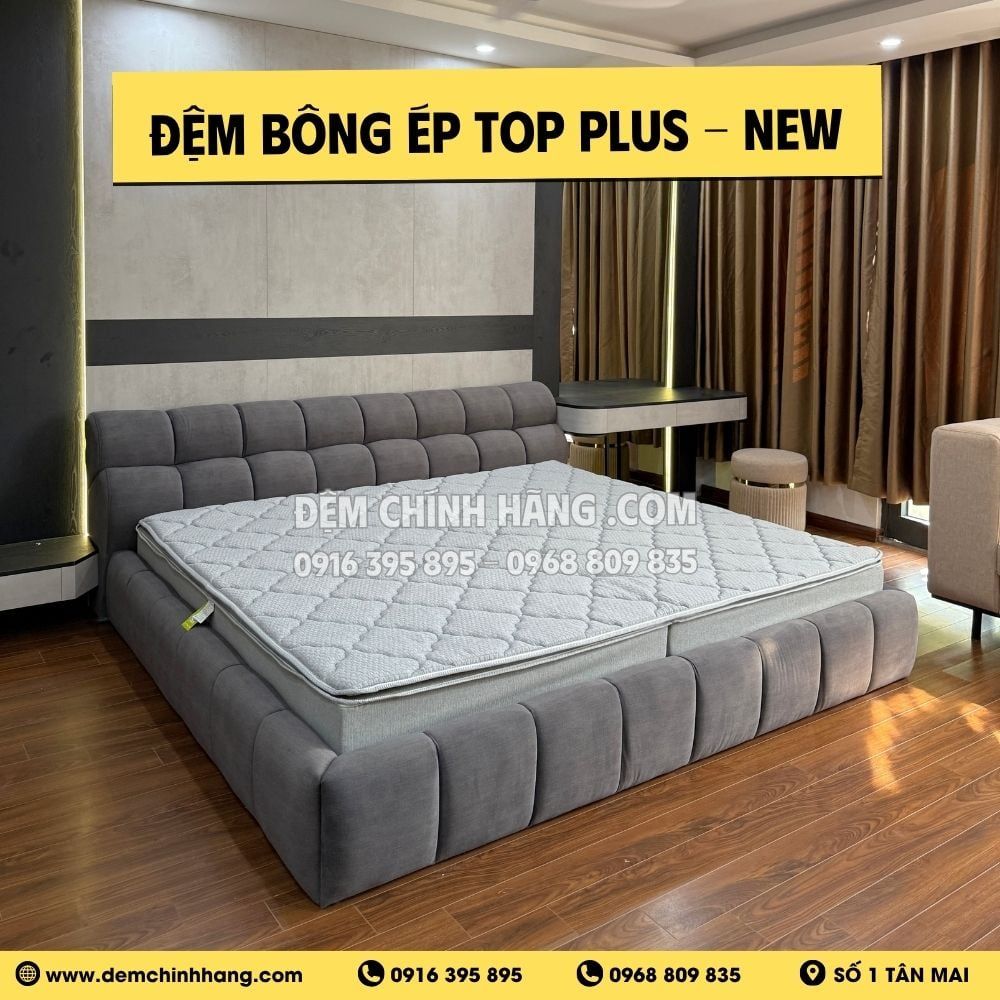 Đệm Bông Ép Top Plus - New