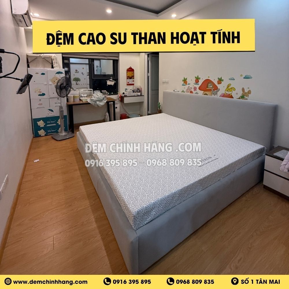 Đệm/Nệm cao su Everon than hoạt tính