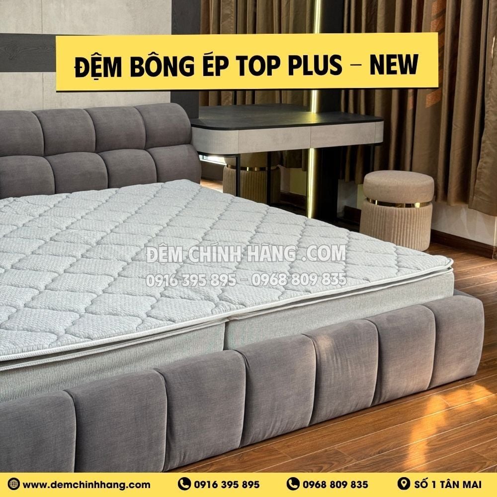Đệm Bông Ép Top Plus - New
