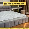 Đệm Bông Ép Top Plus - New