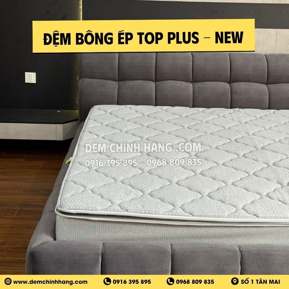 Đệm Bông Ép Top Plus - New