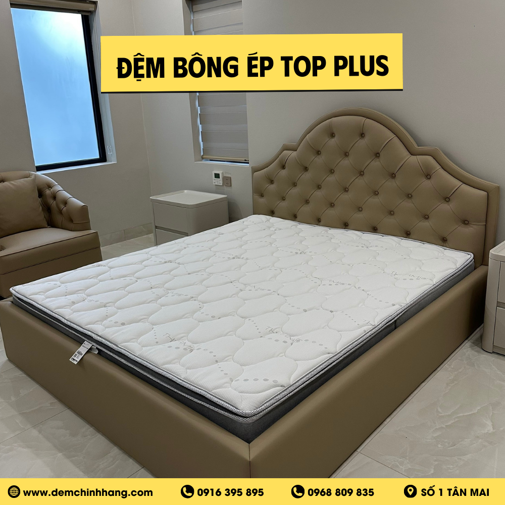 Đệm Bông Ép Top Plus Everon