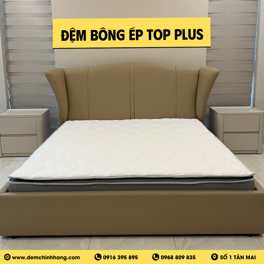Đệm Bông Ép Top Plus Everon