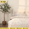 Bộ Everon EPC-27027