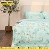 Bộ Everon EPMOC-27024
