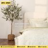 Bộ Everon EPTC-27021