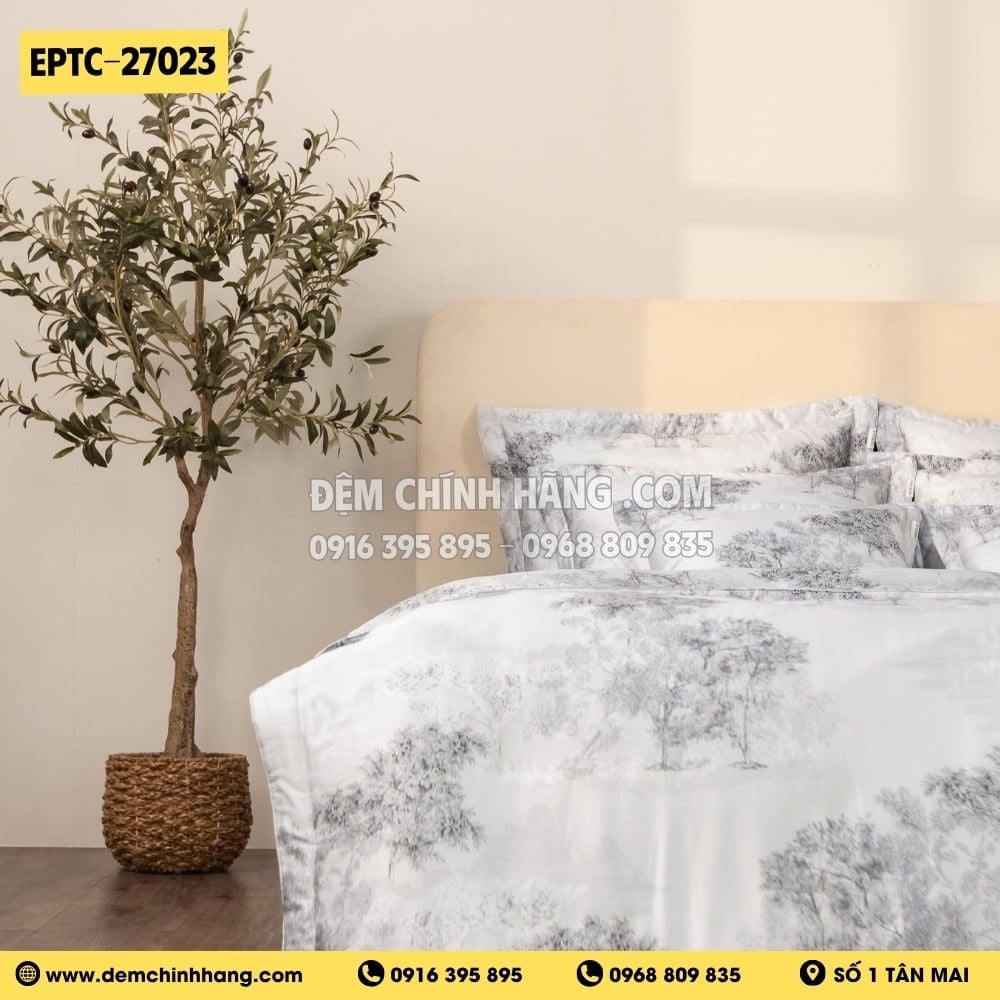 Bộ Everon EPTC-27023