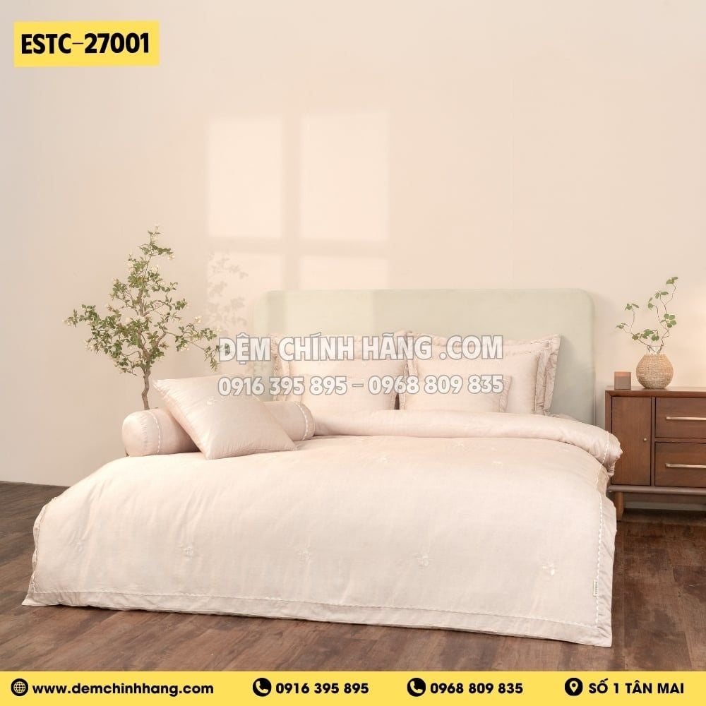 Bộ Everon ESTC-27001