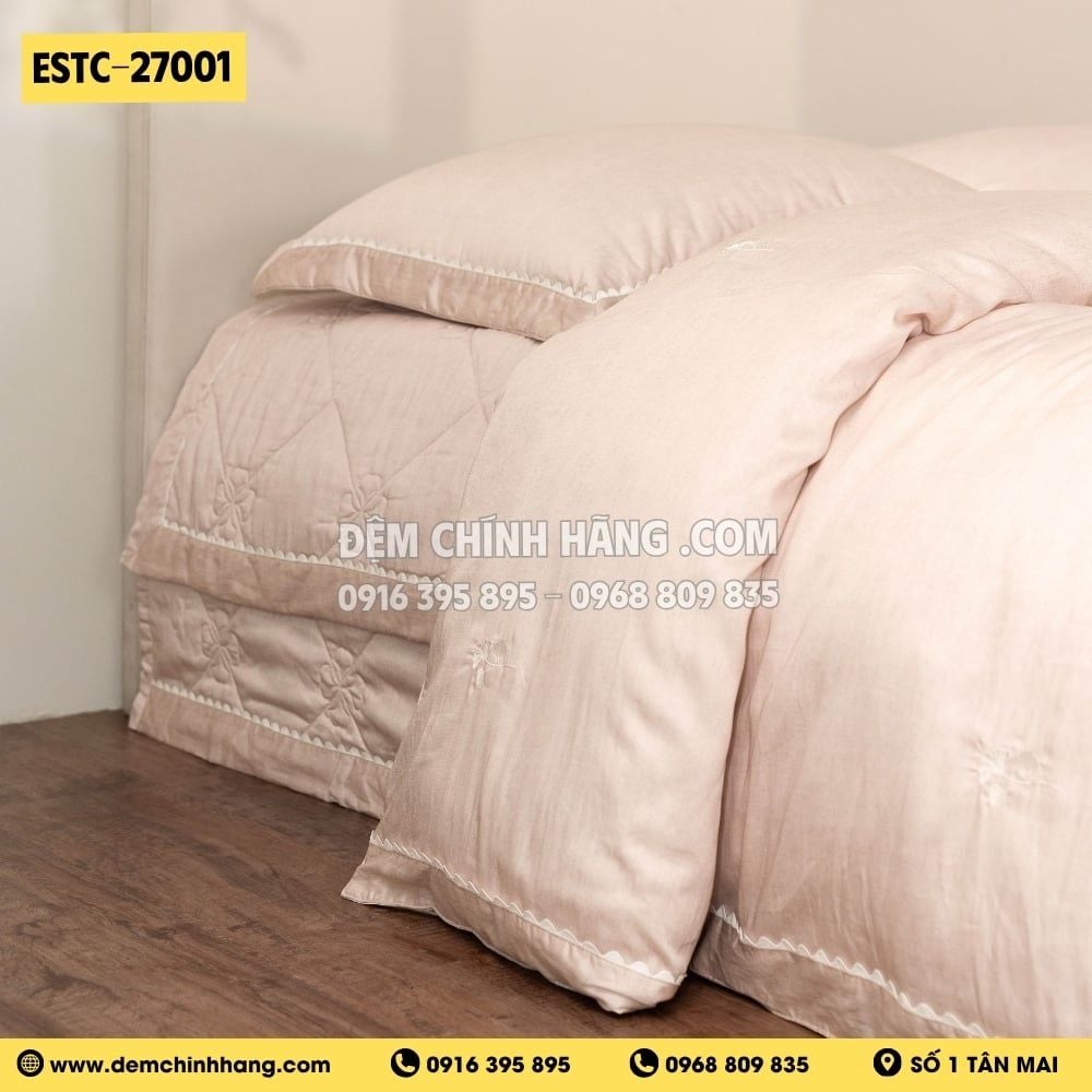 Bộ Everon ESTC-27001