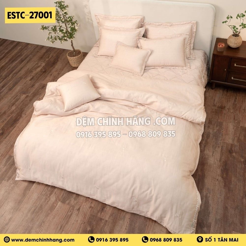 Bộ Everon ESTC-27001