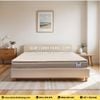 Đệm Foam Artemis Gentle Dream 20cm