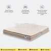 Đệm Foam Artemis Gentle Dream 20cm