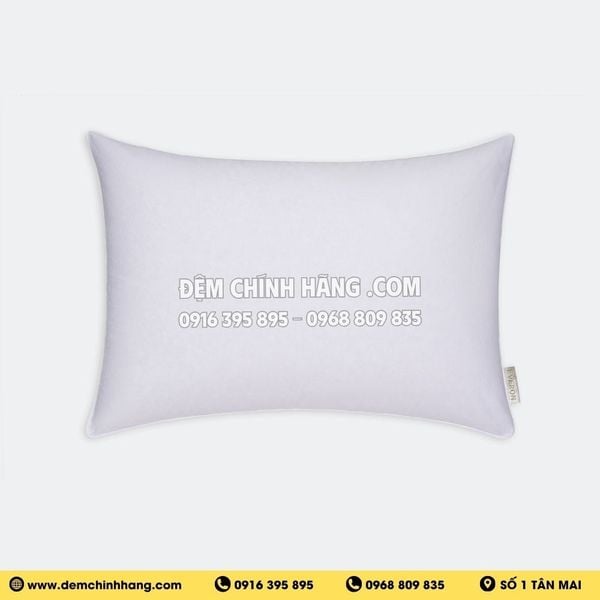 Ruột gối Lông Vũ