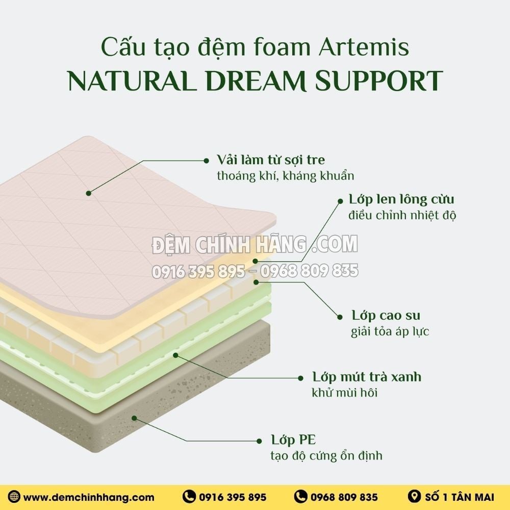 Đệm Artemis Foam Everon 22cm Nature Dream Support