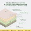 Đệm Artemis Foam Everon 22cm Nature Dream Support