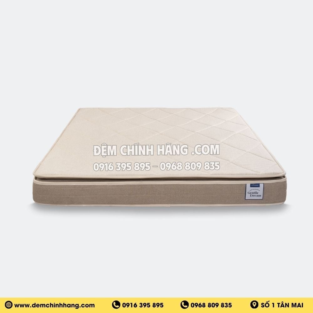 Đệm Foam Artemis Gentle Dream 20cm
