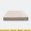 Đệm Foam Artemis Gentle Dream 20cm