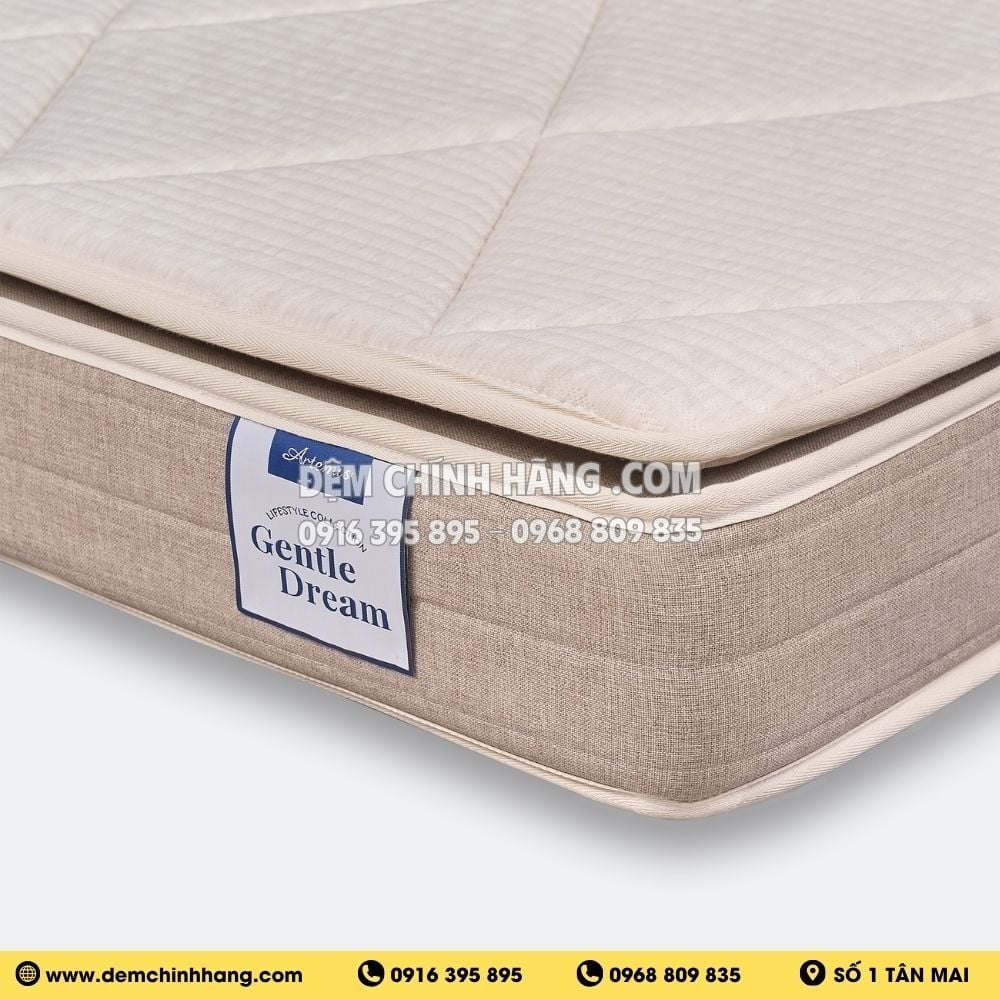 Đệm Foam Artemis Gentle Dream 20cm