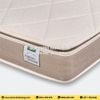 Đệm Artemis Foam Everon 22cm Nature Dream Support